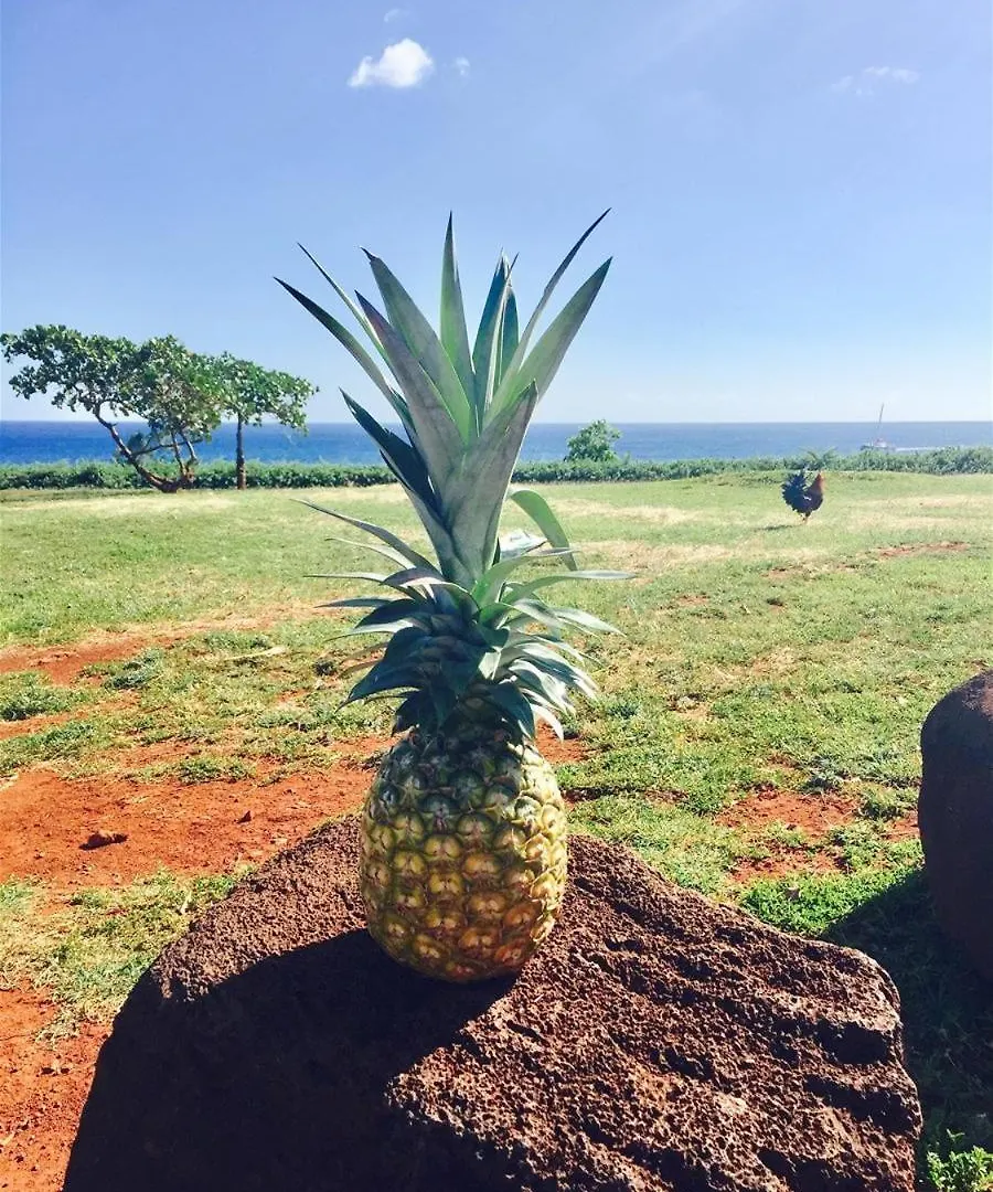 Malia Makai - E - Egret Villa Koloa